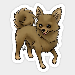 Dog - Chihuahua - Long Haired - Chocolate Sticker